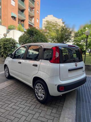 FIAT Panda usata, con Antifurto