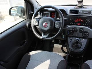 FIAT Panda usata, con Chiusura centralizzata telecomandata