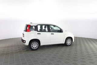 FIAT Panda usata 2