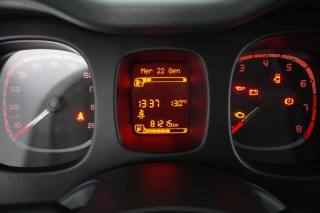 FIAT Panda usata 12