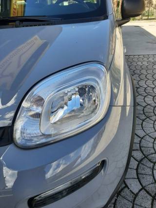 FIAT Panda usata, con Airbag Passeggero