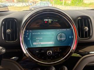 MINI Countryman usata, con Volante multifunzione