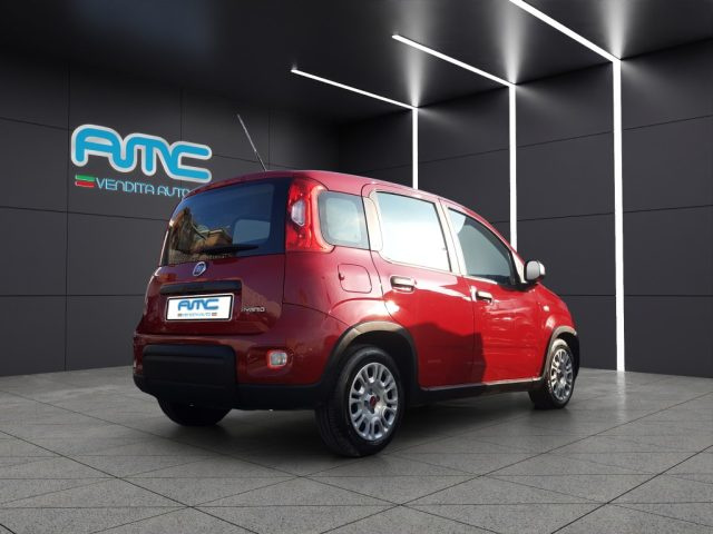 FIAT Panda usata, con Antifurto