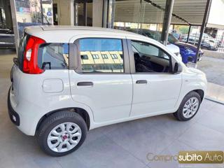 FIAT Panda usata, con Airbag testa