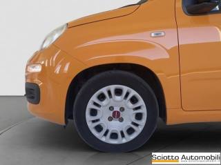 FIAT Panda usata 18