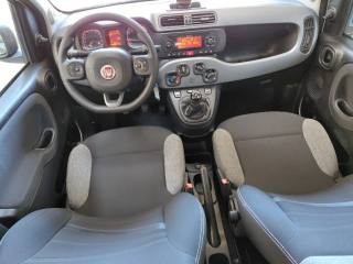 FIAT Panda usata, con Cronologia tagliandi