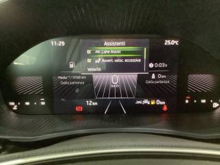 SKODA Fabia usata, con Park Distance Control