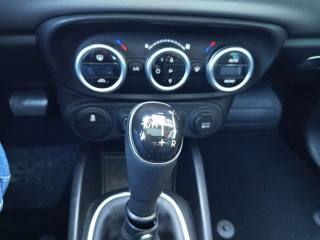 FIAT 500L usata, con Airbag testa