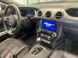 FORD Mustang usata, con Alzacristalli elettrici