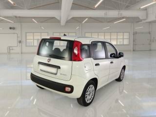 FIAT Panda usata, con Airbag