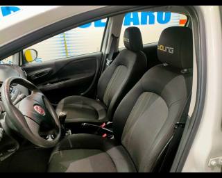 FIAT Punto usata 13