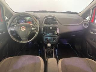 FIAT Punto usata 12