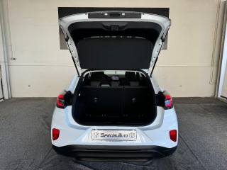 FORD Puma usata, con Fari LED