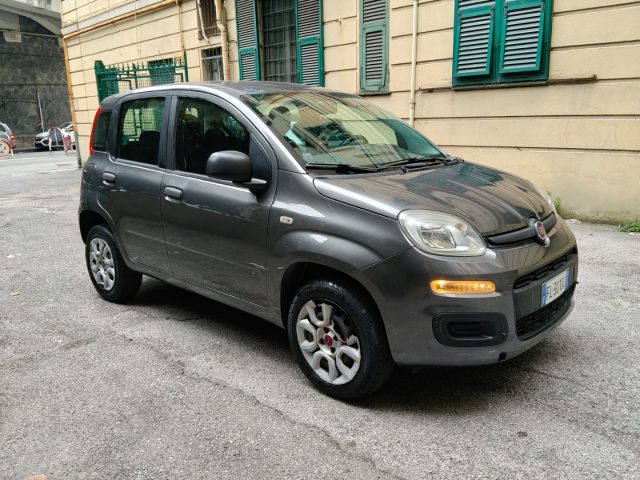 FIAT Panda usata 13