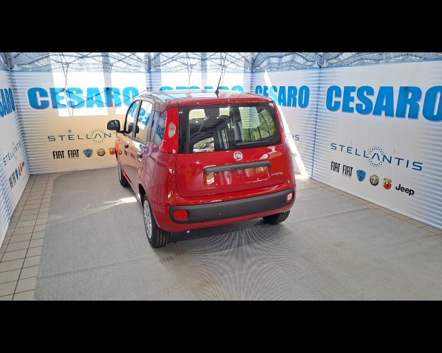 FIAT New Panda usata, con Airbag Passeggero