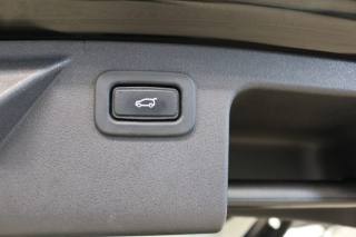 LAND ROVER Discovery Sport usata, con Bracciolo