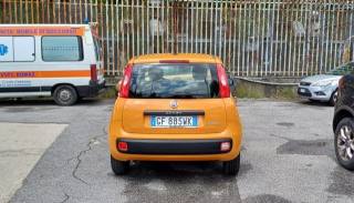 FIAT Panda usata, con Chiusura centralizzata