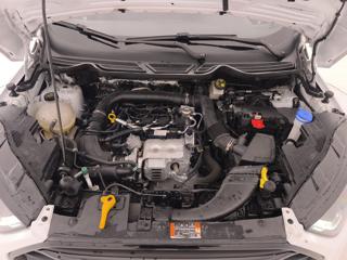 FORD EcoSport usata, con Frenata d