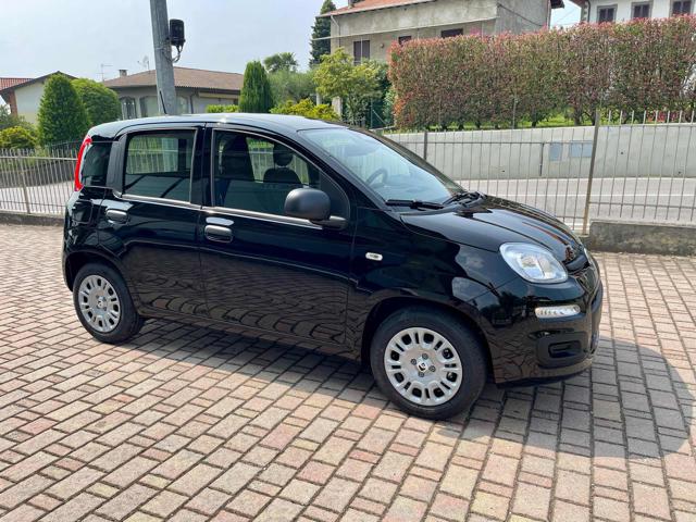FIAT Panda usata, con Airbag Passeggero