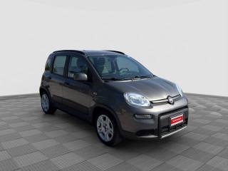 FIAT Panda usata 6