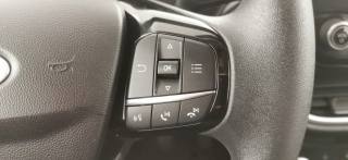 FORD Fiesta usata 45