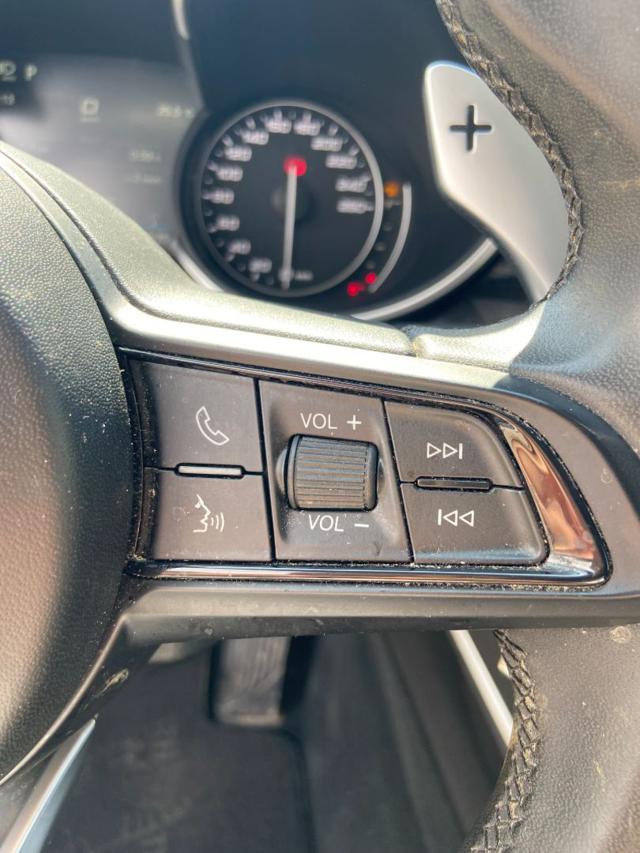 ALFA ROMEO Stelvio usata 32