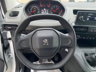 PEUGEOT Rifter usata, con Servosterzo