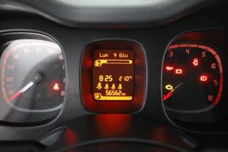 FIAT Panda usata 6