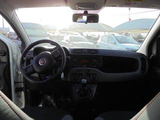 FIAT Panda usata 17