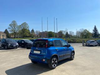 FIAT Panda Cross usata, con Volante multifunzione