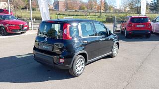 FIAT Panda usata, con Alzacristalli elettrici