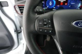 FORD Puma usata, con Vetri oscurati