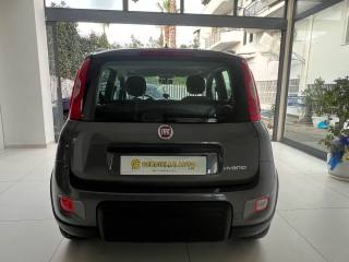 FIAT Panda usata, con Airbag Passeggero