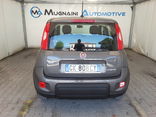 FIAT Panda usata, con Servosterzo