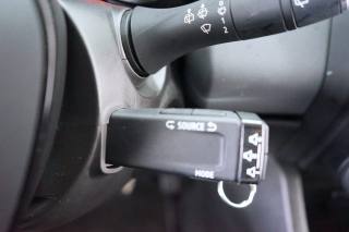 RENAULT Clio usata 44