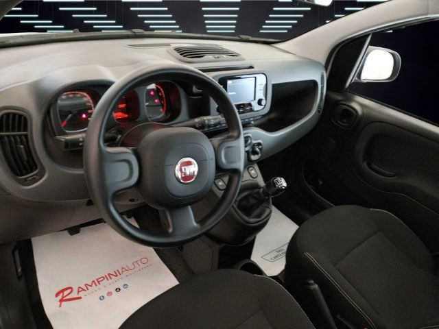 FIAT Panda usata 13