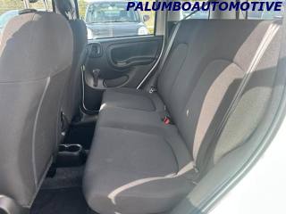 FIAT Panda usata, con Airbag testa