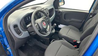 FIAT Panda usata 5