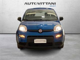 FIAT Panda usata, con Airbag Passeggero