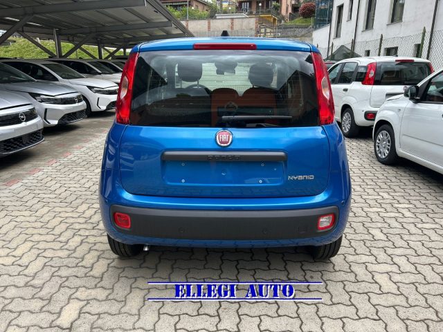 FIAT Panda usata, con Antifurto