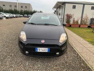 FIAT Punto usata, con Airbag
