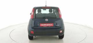 FIAT Panda usata 33