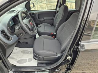 FIAT Pandina usata, con Climatizzatore