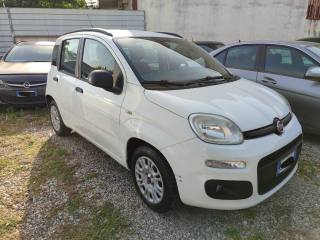 FIAT Panda 1.3 MJT S&S Easy