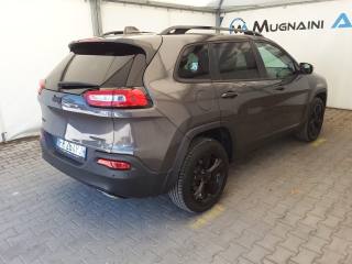 JEEP Cherokee usata, con Fendinebbia