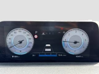 HYUNDAI Staria usata 15