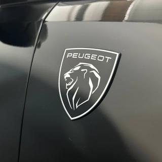 PEUGEOT 3008 usata, con Sensori di parcheggio posteriori