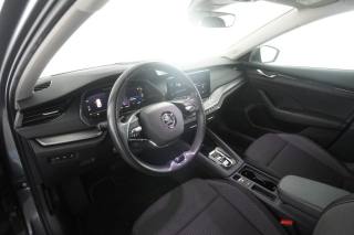 SKODA Octavia usata 7