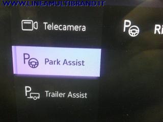 VOLKSWAGEN Tiguan usata, con Park Distance Control