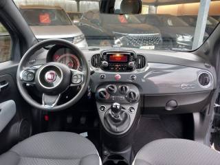 FIAT 500 usata 17
